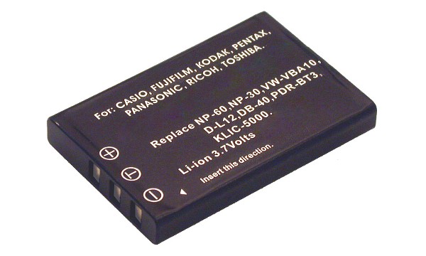 EasyShare DX7650 Batterij