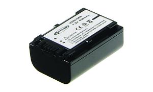 HandyCam HDR-PJ740E Batterij (2 cellen)